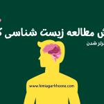 روش مطالعه زیست شناسی کنکور به سبک رتبه های برتر برای رسیدن به درصد بالای 80%