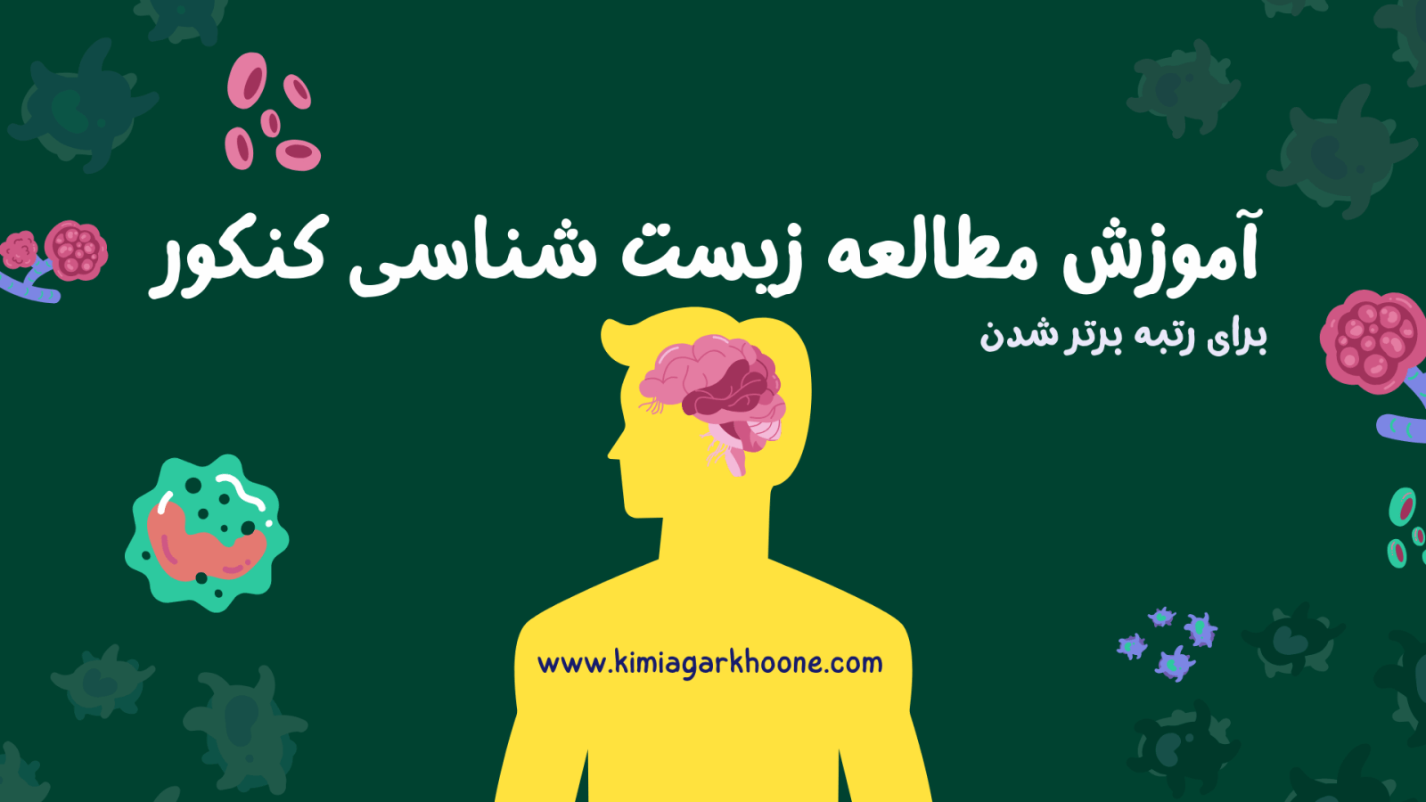 روش مطالعه زیست شناسی کنکور به سبک رتبه های برتر برای رسیدن به درصد بالای 80%
