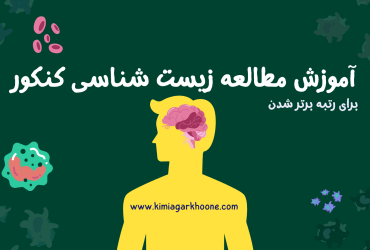روش مطالعه زیست شناسی کنکور به سبک رتبه های برتر برای رسیدن به درصد بالای 80%
